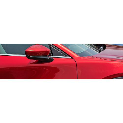 Mirrors & Accessories