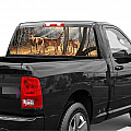 Window Graphics
