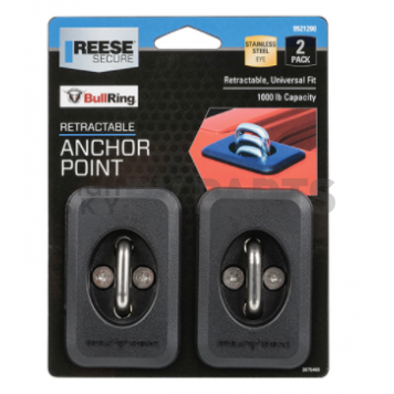 Reese Tie Down Anchor 9521200-1