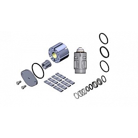 Fill Rite by Tuthill Liquid Transfer Tank Pump Repair Kit - 300KTF7794