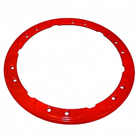 Ford Performance Wheel Rim Guard - M-1021-F15RD1