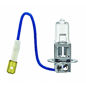 Hella Driving/ Fog Light Bulb - H3100W