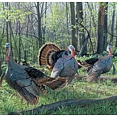 MOSSY OAK Body Graphics - Triple Treat With Turkey True Color - 26032F