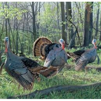 MOSSY OAK Body Graphics - Triple Treat With Turkey True Color - 26032F