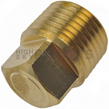 Dorman (OE Solutions) Fitting Plug/ Fitting Cap 785-073