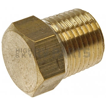 Dorman (OE Solutions) Fitting Plug/ Fitting Cap 785-420