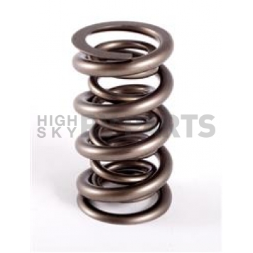 Crane Valve Spring - 9613472