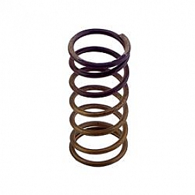 Turbo Smart Turbocharger Wastegate Spring - TS-0550-3090