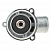 MotorRad/ CST Thermostat 351192