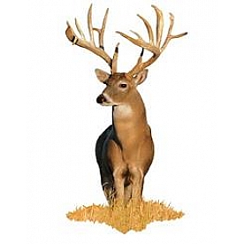 MOSSY OAK Body Graphics - Deer Whitetail Buck True Color - 22005F