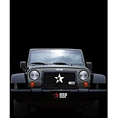 RBP (Rolling Big Power) Grille Insert - Black Powder Coated Stainless Steel  - 254482