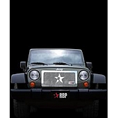 RBP (Rolling Big Power) Grille Insert - Chrome Plated Stainless Steel  - 154482