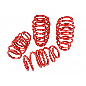 Skunk 2 Lowering Kit - 519051585