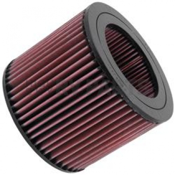 K & N Filters Air Filter - E-2443