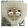Standard Motor Eng.Management Dimmer Switch DS77T