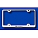 Automotive Gold License Plate Frame - Silver Stainless Steel - LFWSMAEC