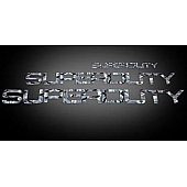 Recon Accessories Emblem - Superduty Hood/ Tailgate/ Interior - 264181WC