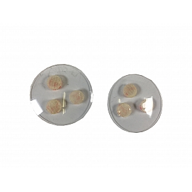 GT Styling Driving/ Fog Light Cover GT0645FC