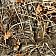 Stampede Fender Flare - Realtree Max-4 Plastic Set Of 4 - 843512