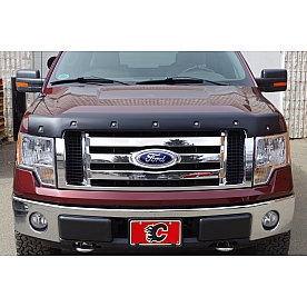 Tough Guard Form Fit Bug Shield - Acrylic ABS Plastic Black Smooth Satin Hood Only - TS-8A09