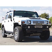 T-Rex Truck Products Grille Insert - Mesh Rectangular Polished Stainless Steel - 54295