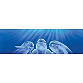 Vantage Point Window Graphics - Three Dolphins - 010042L