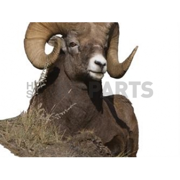 MOSSY OAK Body Graphics - Bedded Big Horn Sheep With Mountain View Cutout True Color - 23051C