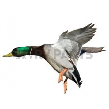 MOSSY OAK Body Graphics - Mallard/ Drake Landing Left True Color - 23034C