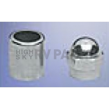 Topline Parts Valve Stem Cap C5041