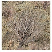 MOSSY OAK Body Graphics - Brush Pattern True Color - 140024BR