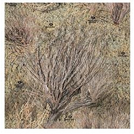 MOSSY OAK Body Graphics - Brush Pattern True Color - 140024BR