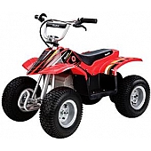 Razor USA Go Kart - Electric 24 Volt 120 Pounds Capacity - 25143060