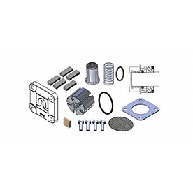 Fill Rite by Tuthill Liquid Transfer Tank Pump Repair Kit - 4200KTF873