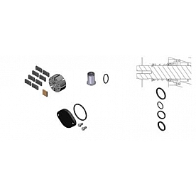 Fill Rite by Tuthill Liquid Transfer Tank Pump Repair Kit - 700KTF2659
