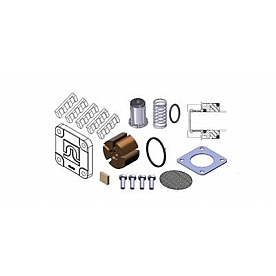 Fill Rite by Tuthill Liquid Transfer Tank Pump Repair Kit - 1200KTG8572