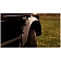 Bushwacker Fender Flare - Black Dura-Flex 2000 ABS Smooth Plastic Matte Set Of 2 - 4100911