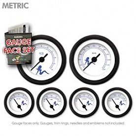 Aurora Instuments Gauge Face Overlay - Fiber White Daytime Color/ Blue Letter Color - 8418