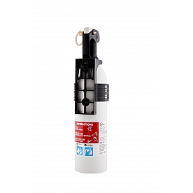 BRK Electronics Fire Extinguisher FE5RPWCNA