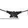 Cardone (A1) Industries Window Regulator 824574MA