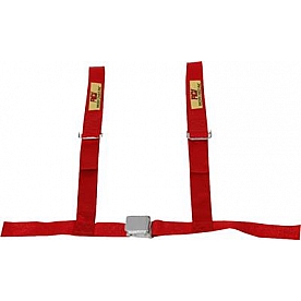 RCI (Racer's Choice Inc) Seat Belt 9450B