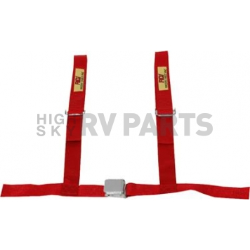 RCI (Racer's Choice Inc) Seat Belt 9450B