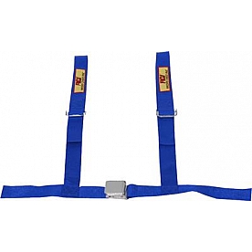 RCI (Racer's Choice Inc) Seat Belt 9450C