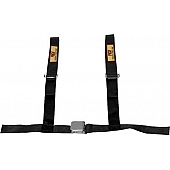 RCI (Racer's Choice Inc) Seat Belt 9450D