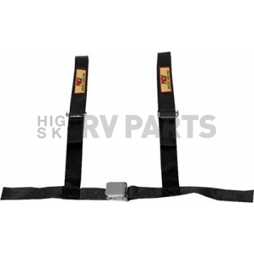 RCI (Racer's Choice Inc) Seat Belt 9450D