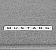 Ford Performance Floor Mat - Direct-Fit Gray Mustang Logo Carpet Set of 2 - M13086MD