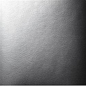 Covercraft Windshield Shade UV11656SV