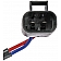 Dorman (OE Solutions) Window Regulator 741631