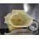 Dorman (OE Solutions) Window Regulator 748349