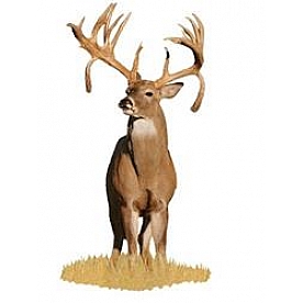 MOSSY OAK Body Graphics - Deer Double Drop Tine Buck Cutout True Color - 22002C