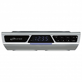 Digital Products International Radio IKBFV378S